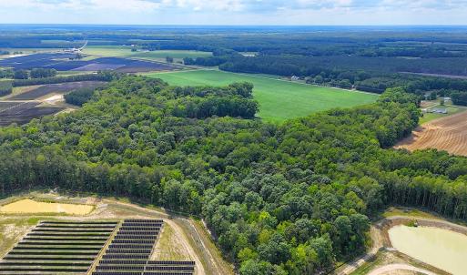 Photo #9 of 96 White Marsh Rd, Elberon, VA 96.3 acres