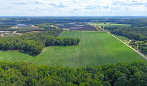 Photo #11 of 96 White Marsh Rd, Elberon, VA 96.3 acres