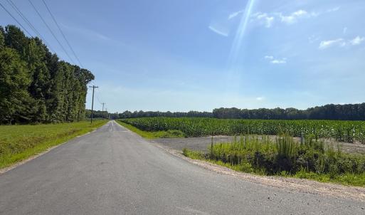 Photo #21 of 96 White Marsh Rd, Elberon, VA 96.3 acres