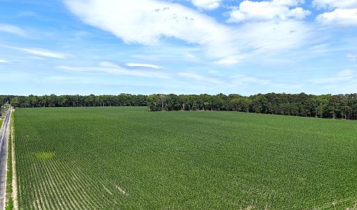 Photo #22 of 96 White Marsh Rd, Elberon, VA 96.3 acres