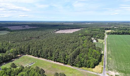 Photo #23 of 96 White Marsh Rd, Elberon, VA 96.3 acres