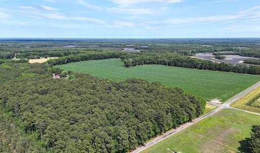 Photo #24 of 96 White Marsh Rd, Elberon, VA 96.3 acres