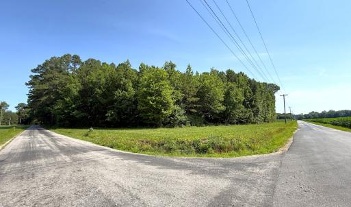 Photo #26 of 96 White Marsh Rd, Elberon, VA 96.3 acres