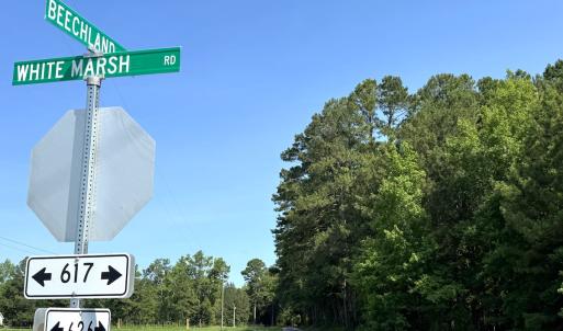 Photo #27 of 96 White Marsh Rd, Elberon, VA 96.3 acres