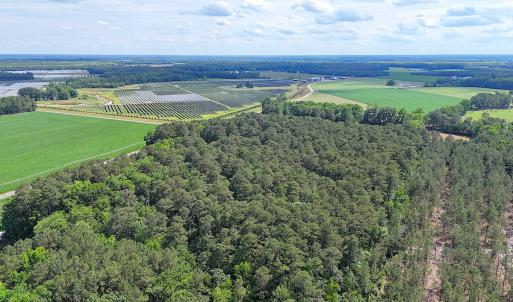 Photo #29 of 96 White Marsh Rd, Elberon, VA 96.3 acres