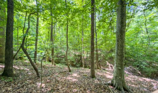 Photo #12 of Off of Park Springs Road, Ruffin, NC 7.2 acres
