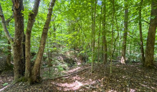 Photo #23 of Off of Park Springs Road, Ruffin, NC 7.2 acres