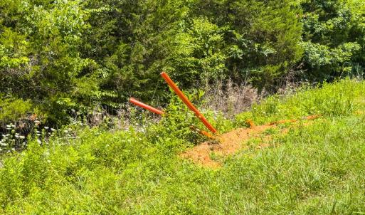 Photo #25 of Off of Park Springs Road, Ruffin, NC 7.2 acres