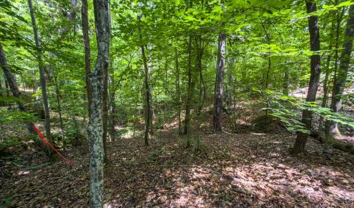Photo #26 of Off of Park Springs Road, Ruffin, NC 7.2 acres