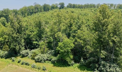 Photo #7 of 2754 Horseshoe Bend Rd, Moneta, VA 111.2 acres