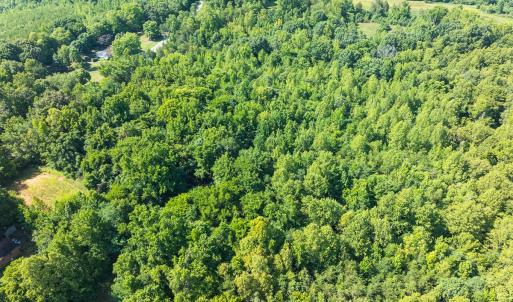 Photo #9 of Off of Park Springs Road, Ruffin, NC 7.5 acres