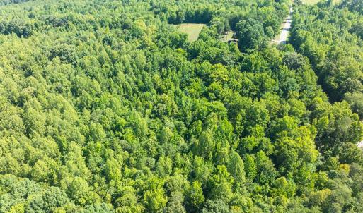 Photo #16 of Off of Park Springs Road, Ruffin, NC 7.5 acres