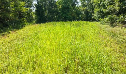 Photo #22 of Off of Park Springs Road, Ruffin, NC 7.5 acres