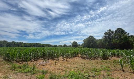 Photo #13 of 1.45 ac Off Titan Roberts Rd, Erwin, NC 1.5 acres