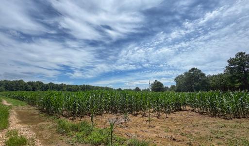 Photo #17 of 1.45 ac Off Titan Roberts Rd, Erwin, NC 1.5 acres