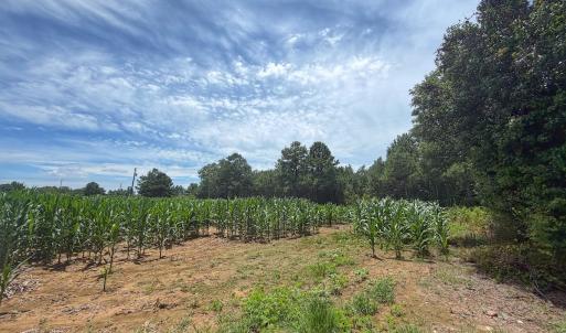 Photo #9 of 1.45 ac Off Titan Roberts Rd, Erwin, NC 1.5 acres