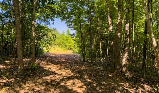 Photo #7 of Off of Park Springs Road, Ruffin, NC 49.4 acres