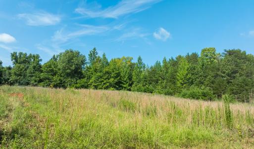 Photo #8 of Off of Park Springs Road, Ruffin, NC 49.4 acres