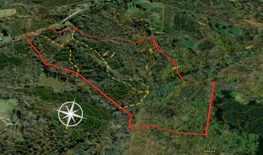 Photo #10 of Off of Park Springs Road, Ruffin, NC 49.4 acres