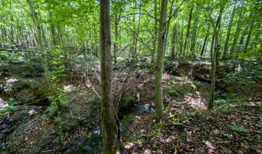 Photo #14 of Off of Park Springs Road, Ruffin, NC 49.4 acres