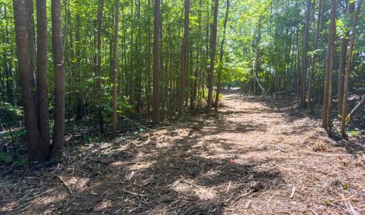 Photo #25 of Off of Park Springs Road, Ruffin, NC 49.4 acres