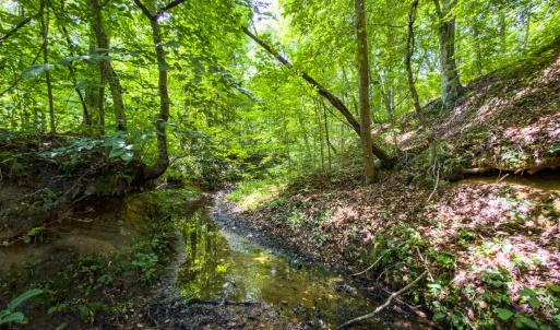 Photo #31 of Off of Park Springs Road, Ruffin, NC 49.4 acres