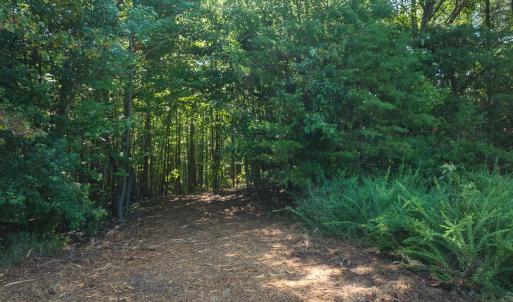 Photo #32 of Off of Park Springs Road, Ruffin, NC 49.4 acres