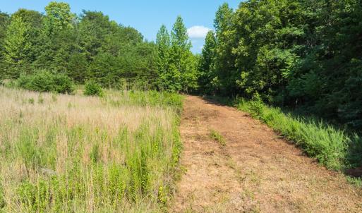 Photo #33 of Off of Park Springs Road, Ruffin, NC 49.4 acres