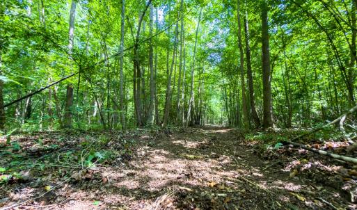 Photo #35 of Off of Park Springs Road, Ruffin, NC 49.4 acres