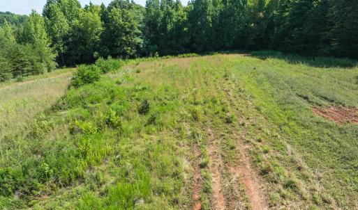 Photo #39 of Off of Park Springs Road, Ruffin, NC 49.4 acres