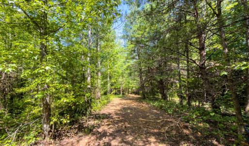 Photo #44 of Off of Park Springs Road, Ruffin, NC 49.4 acres
