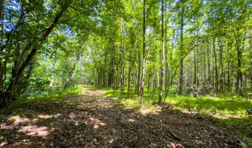 Photo #45 of Off of Park Springs Road, Ruffin, NC 49.4 acres