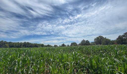 Photo #13 of 1.51 ac Off Titan Roberts Rd, Erwin, NC 1.5 acres
