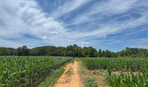 Photo #20 of 1.51 ac Off Titan Roberts Rd, Erwin, NC 1.5 acres