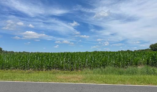 Photo #5 of 1.51 ac Off Titan Roberts Rd, Erwin, NC 1.5 acres