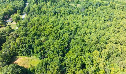 Photo #6 of Off of Park Springs Road, Ruffin, NC 14.7 acres