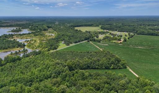 Photo #14 of 12 ac off Titan Roberts Rd, Erwin, NC 12.0 acres