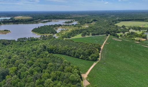 Photo #16 of 12 ac off Titan Roberts Rd, Erwin, NC 12.0 acres