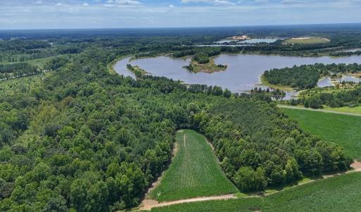 Photo #19 of 12 ac off Titan Roberts Rd, Erwin, NC 12.0 acres