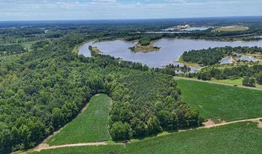 Photo #22 of 12 ac off Titan Roberts Rd, Erwin, NC 12.0 acres
