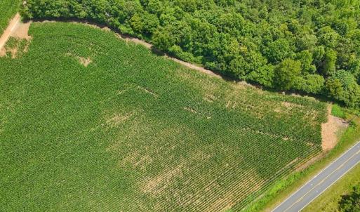 Photo #33 of 12 ac off Titan Roberts Rd, Erwin, NC 12.0 acres