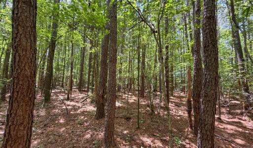 Photo #28 of 15 ac Off Titan Roberts Rd, Erwin, NC 15.0 acres