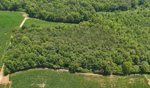 Photo #29 of 15 ac Off Titan Roberts Rd, Erwin, NC 15.0 acres