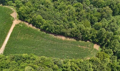 Photo #31 of 15 ac Off Titan Roberts Rd, Erwin, NC 15.0 acres