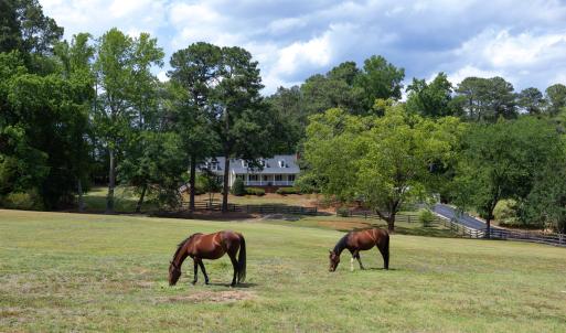 Photo #11 of 4205 MillPoint Dr., Wake Forest, NC 4.0 acres