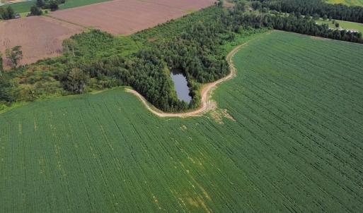 Photo #16 of Off of Highwy 9, Green Sea, SC 65.2 acres