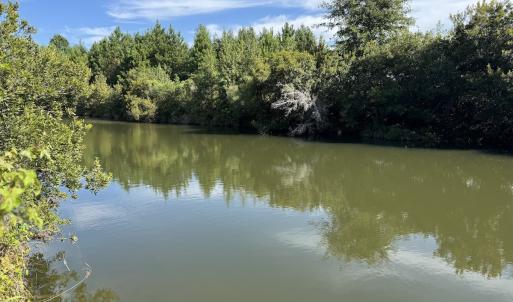 Photo #2 of Off of Highwy 9, Green Sea, SC 65.2 acres