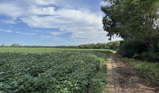 Photo #3 of Off of Highwy 9, Green Sea, SC 65.2 acres