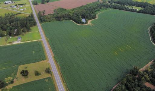 Photo #4 of Off of Highwy 9, Green Sea, SC 65.2 acres