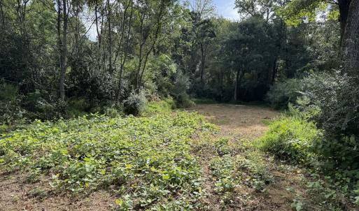 Photo #5 of Off of Highwy 9, Green Sea, SC 65.2 acres